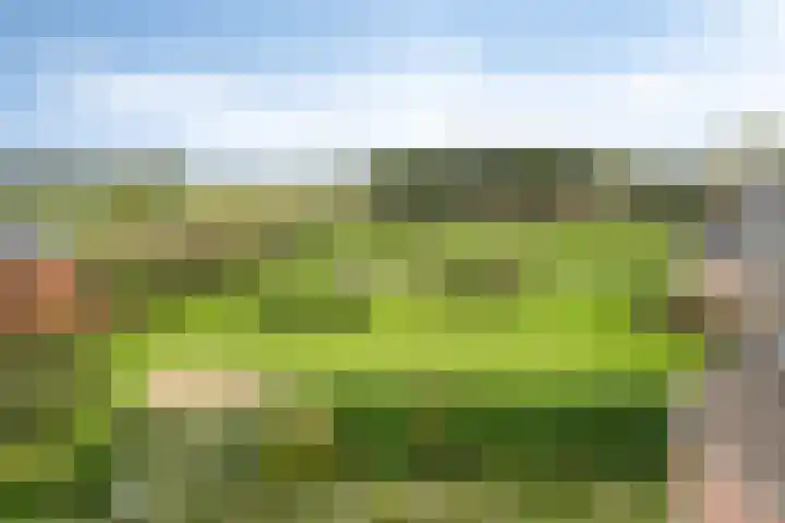 Postweg 23 Wagenberg thumbnail 40
