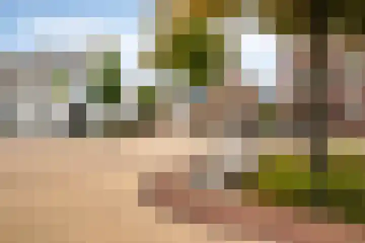 Postweg 23 Wagenberg thumbnail 62