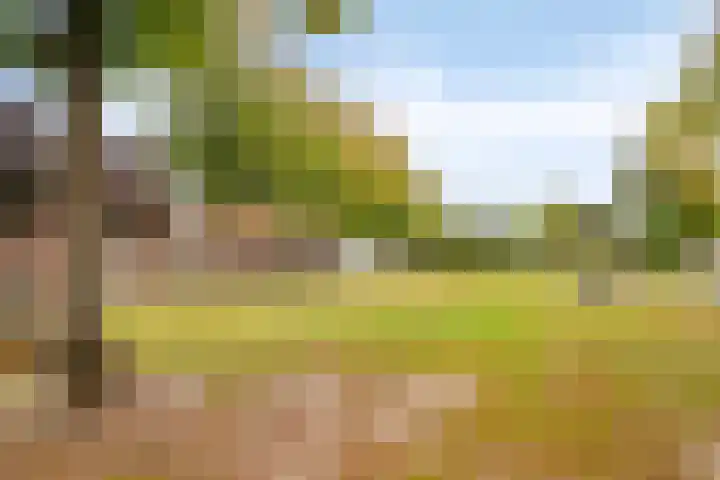 Postweg 23 Wagenberg thumbnail 64