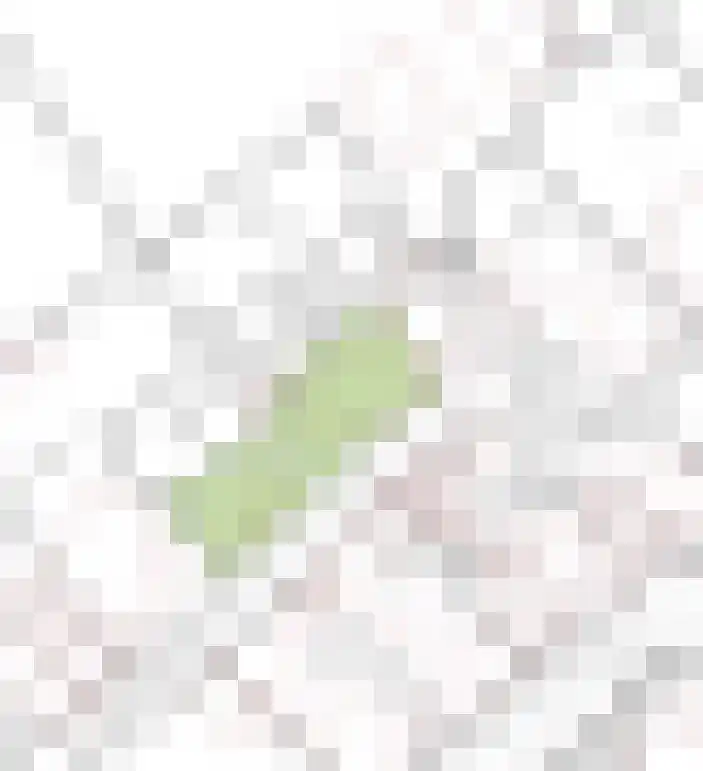 Postweg 23 Wagenberg thumbnail 73