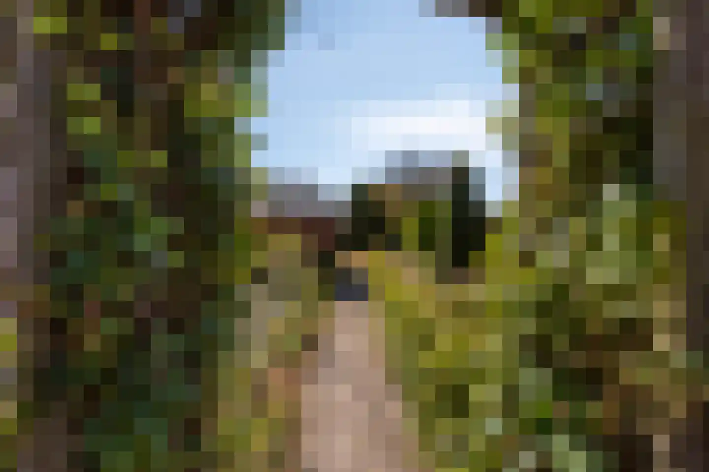 Postweg 25 Wagenberg thumbnail 30