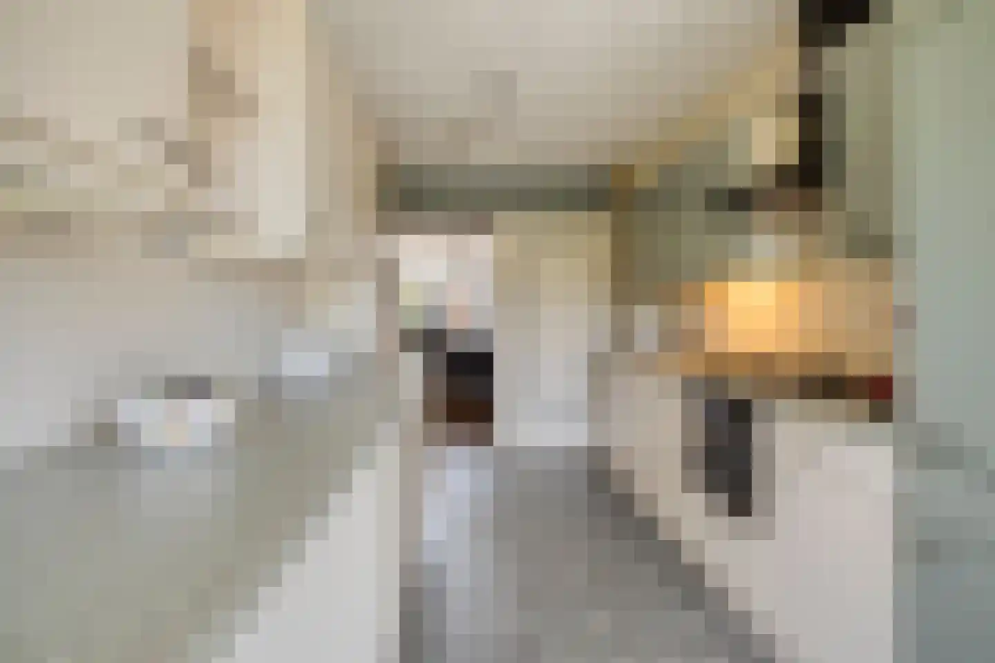 Postweg 25 Wagenberg thumbnail 7