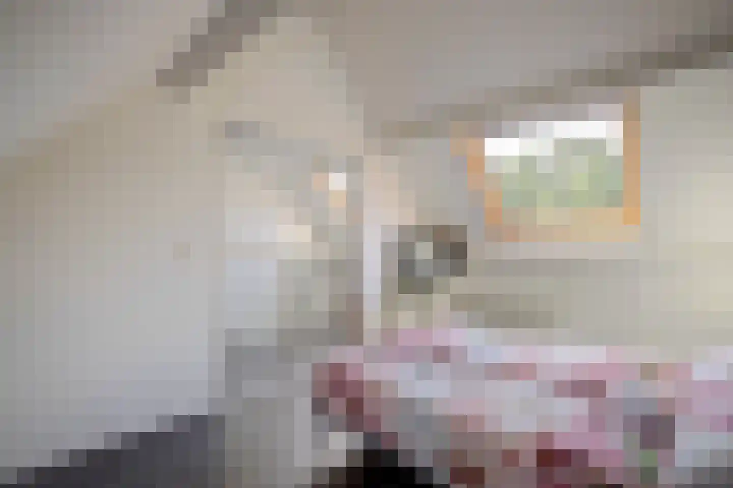 Postweg 26 Leersum thumbnail 27