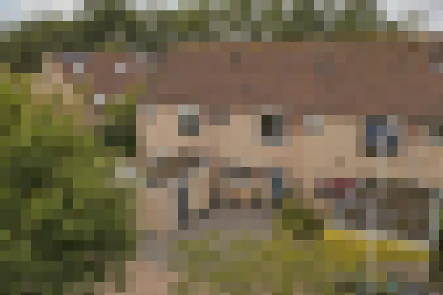 Postweg 26 Leersum thumbnail 42