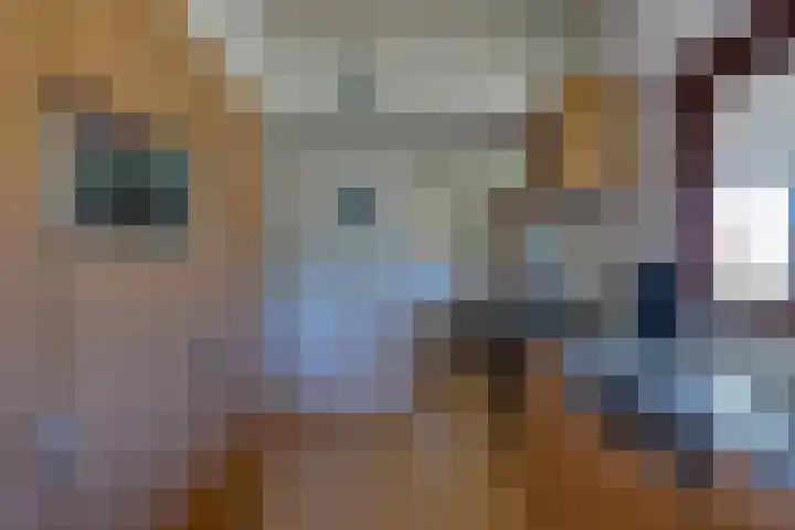 Postweg 3 Buren thumbnail 19