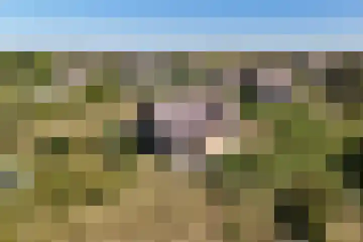 Postweg 3 Buren thumbnail 53