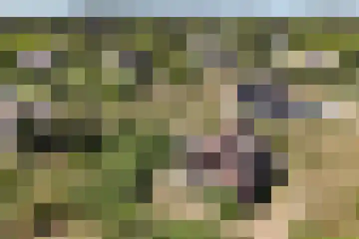 Postweg 3 Buren thumbnail 54