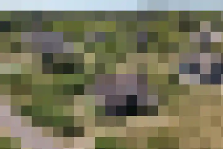 Postweg 3 Buren thumbnail 55