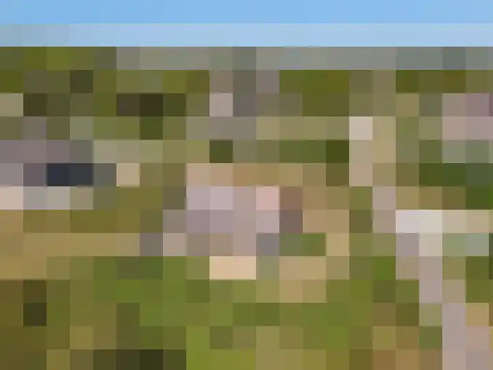 Postweg 3 Buren thumbnail 56