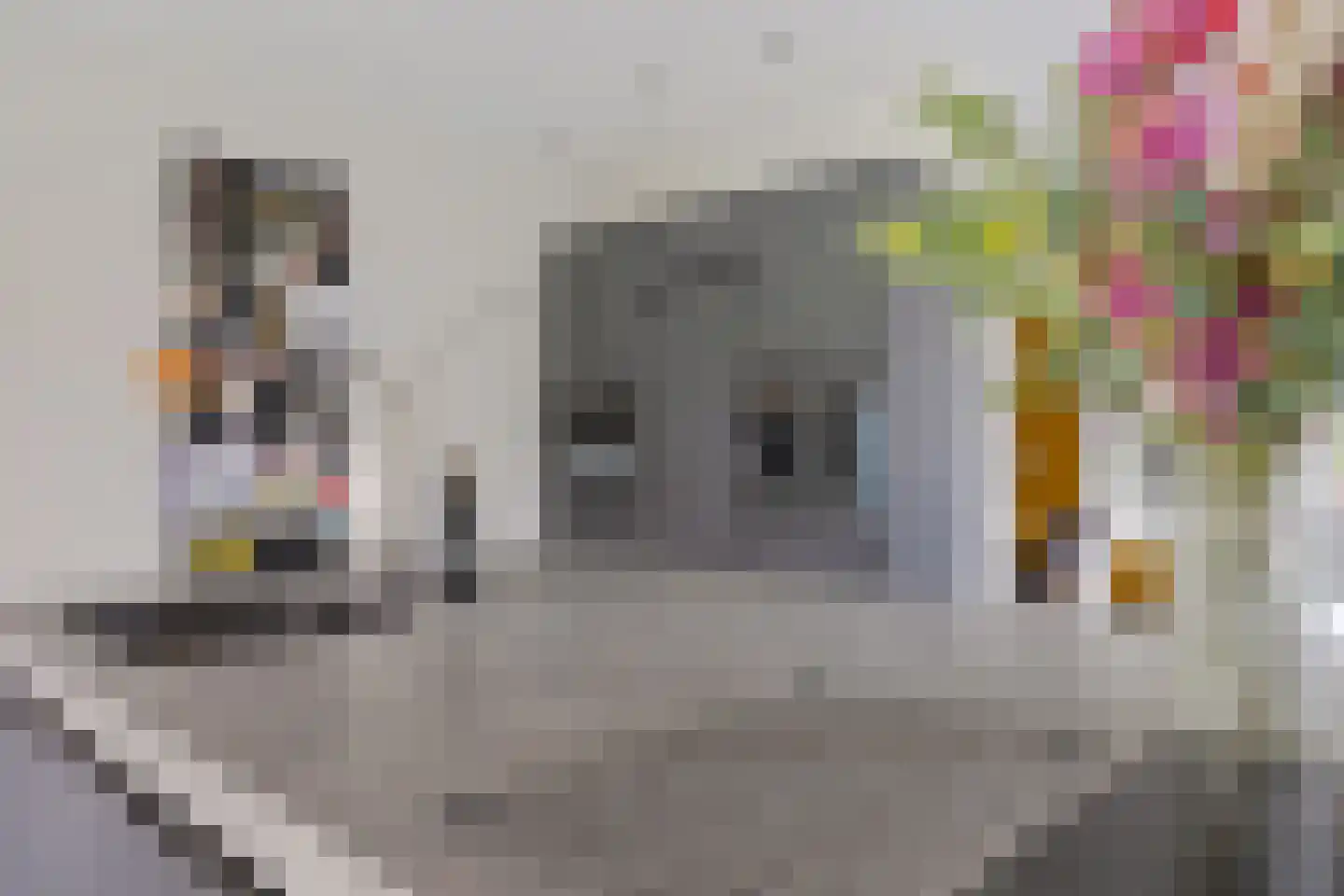 Postweg 33 de Wijk thumbnail 21