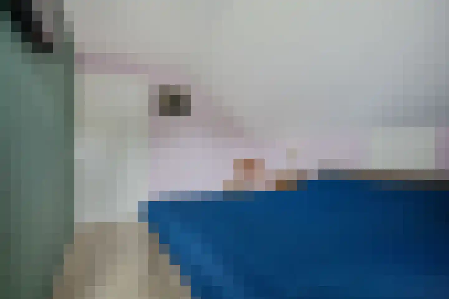 Postweg 33 de Wijk thumbnail 39