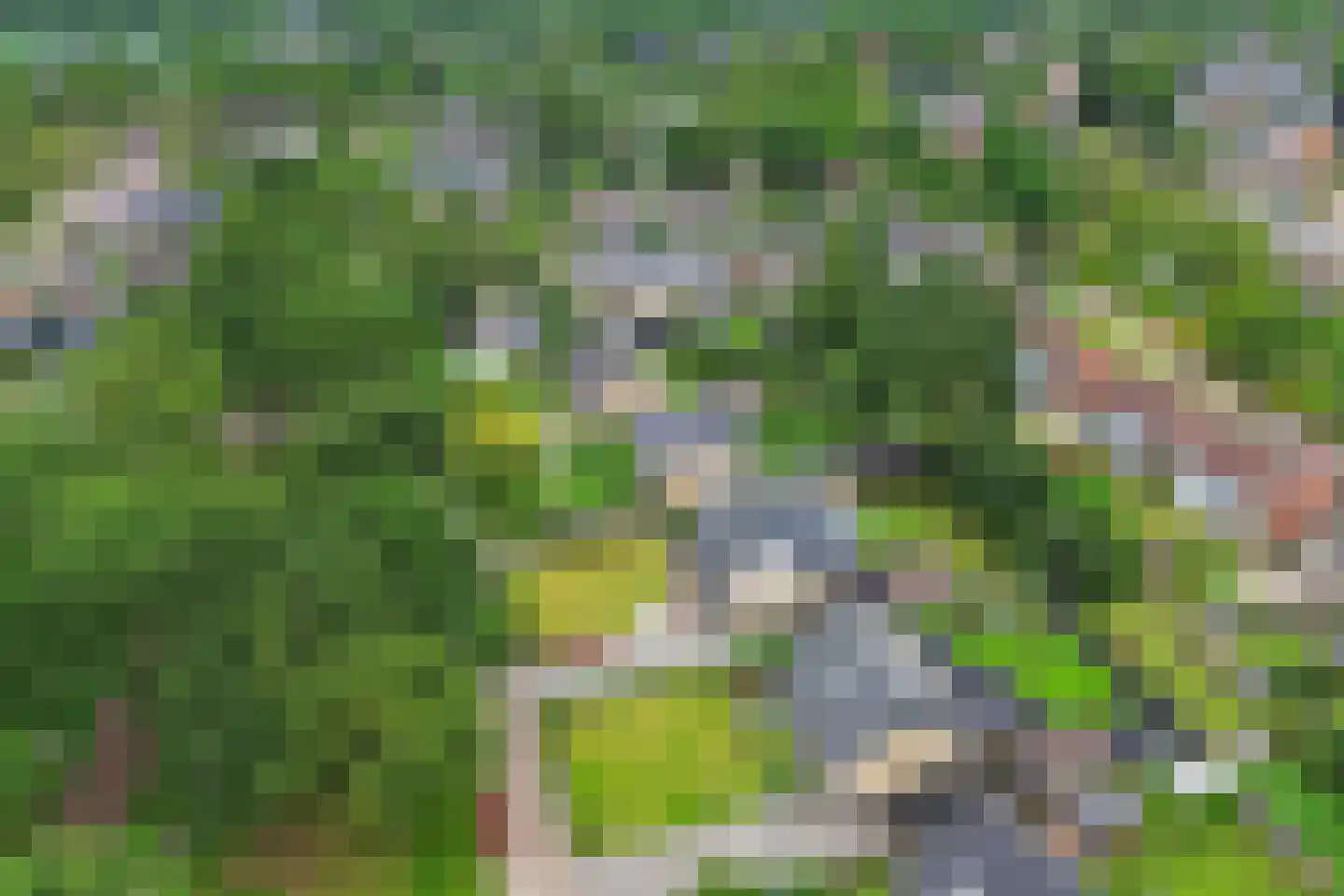 Postweg 33 de Wijk thumbnail 54