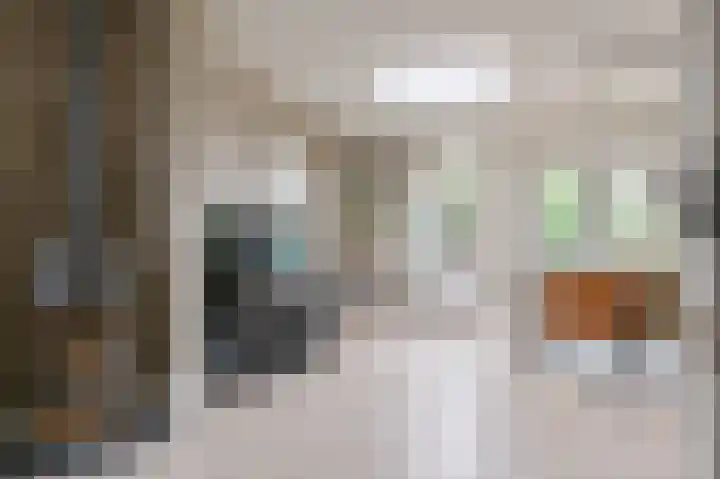 Postweg 34 Putten thumbnail 18