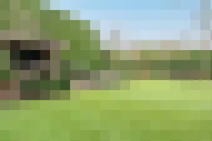 Postweg 34 Putten thumbnail 52