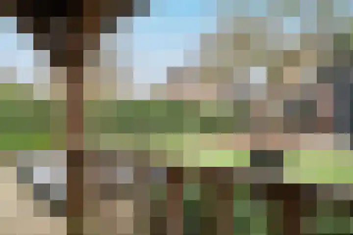 Postweg 34 Putten thumbnail 57