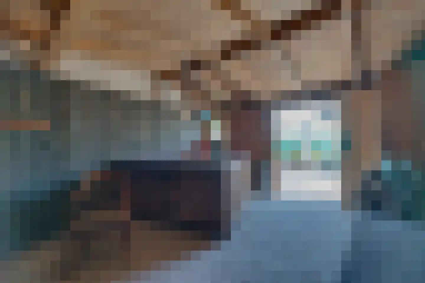 Postweg 39 Kapelle thumbnail 69