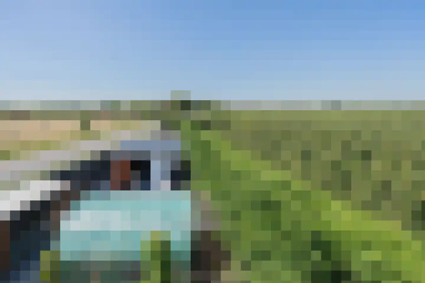 Postweg 39 Kapelle thumbnail 78