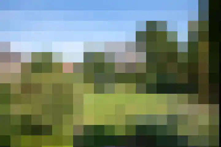 Postweg 39 Putten thumbnail 23