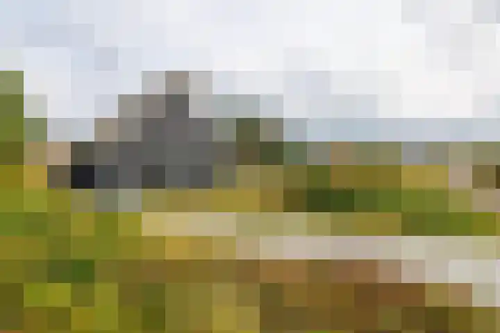 Postweg 4 Buren thumbnail 33