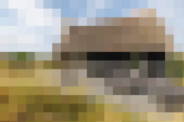 Postweg 4 Buren thumbnail 36