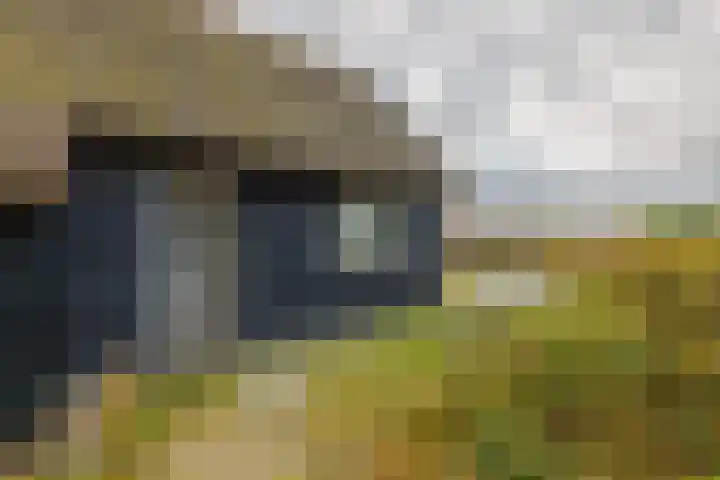 Postweg 4 Buren thumbnail 39