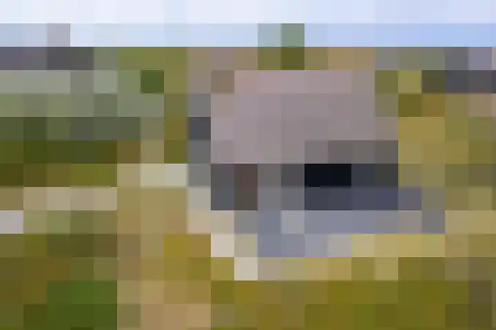 Postweg 4 Buren thumbnail 41