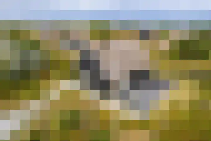 Postweg 4 Buren thumbnail 42