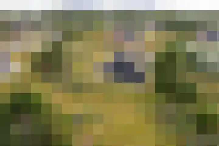 Postweg 4 Buren thumbnail 44