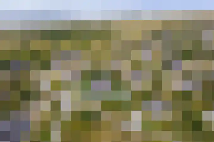 Postweg 4 Buren thumbnail 47