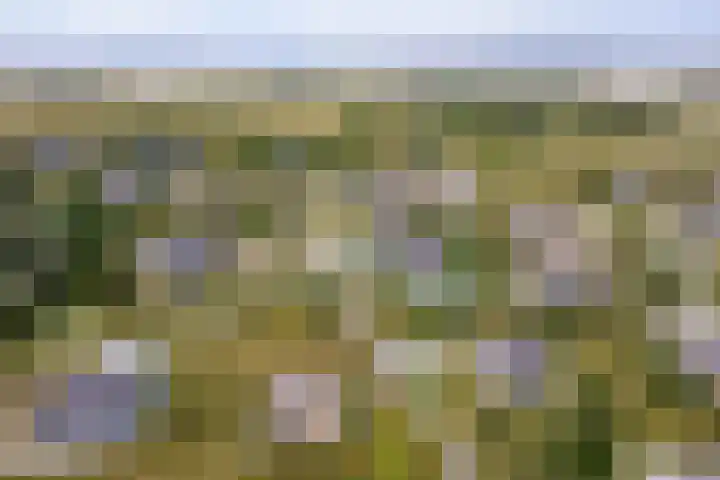 Postweg 4 Buren thumbnail 48