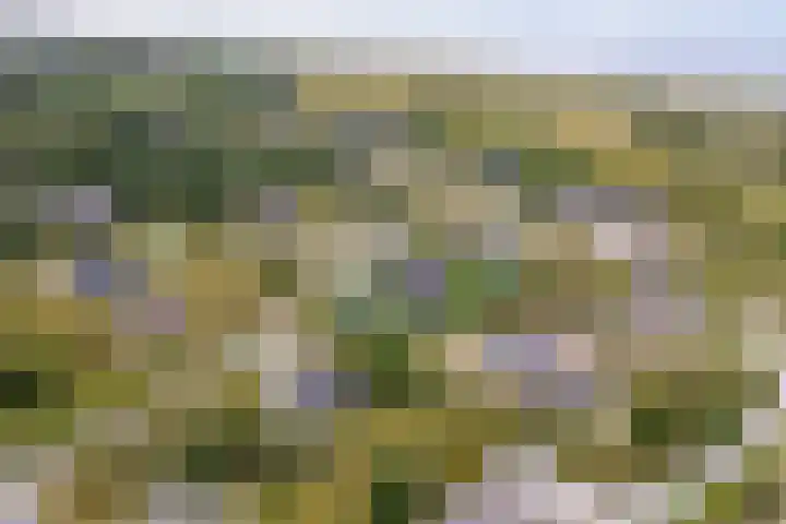 Postweg 4 Buren thumbnail 49
