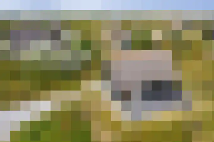 Postweg 4 Buren thumbnail 5