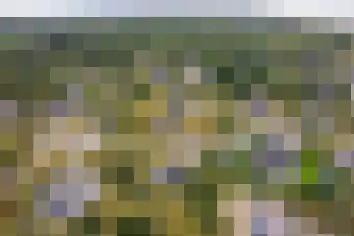 Postweg 4 Buren thumbnail 50
