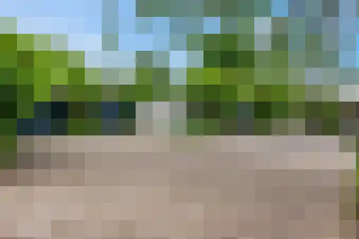 Postweg 5 Leersum thumbnail 20