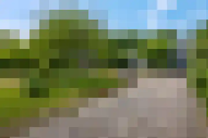 Postweg 5 Leersum thumbnail 21