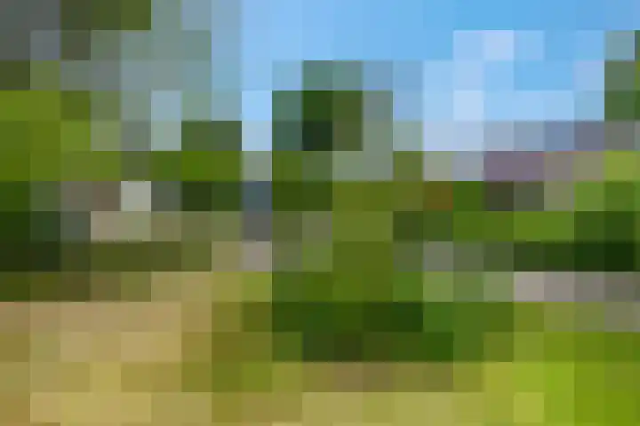 Postweg 5 Leersum thumbnail 36