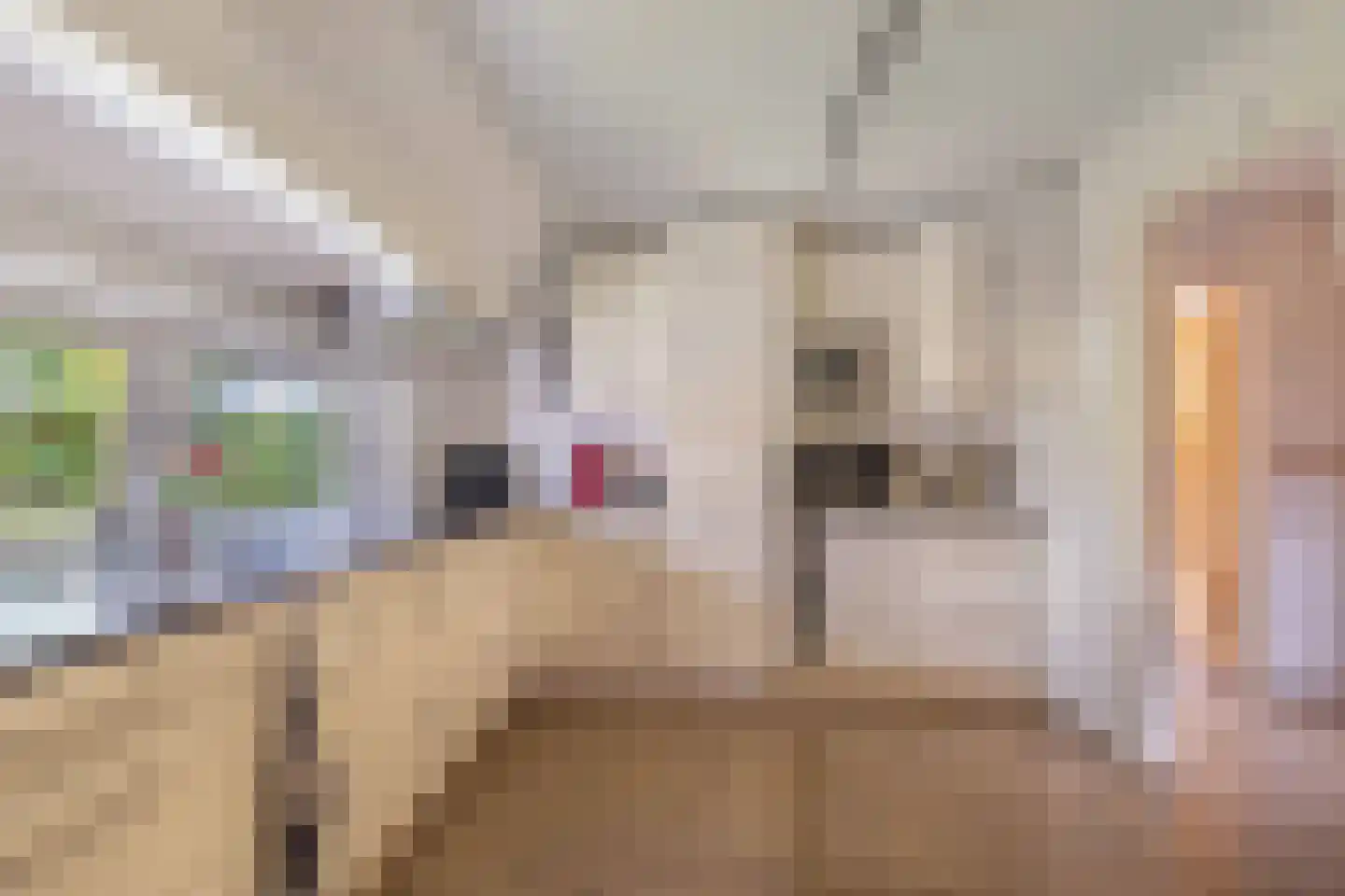 Postweg 5 Ruinen thumbnail 15