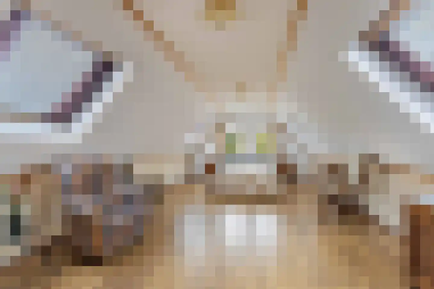 Postweg 5 Ruinen thumbnail 26