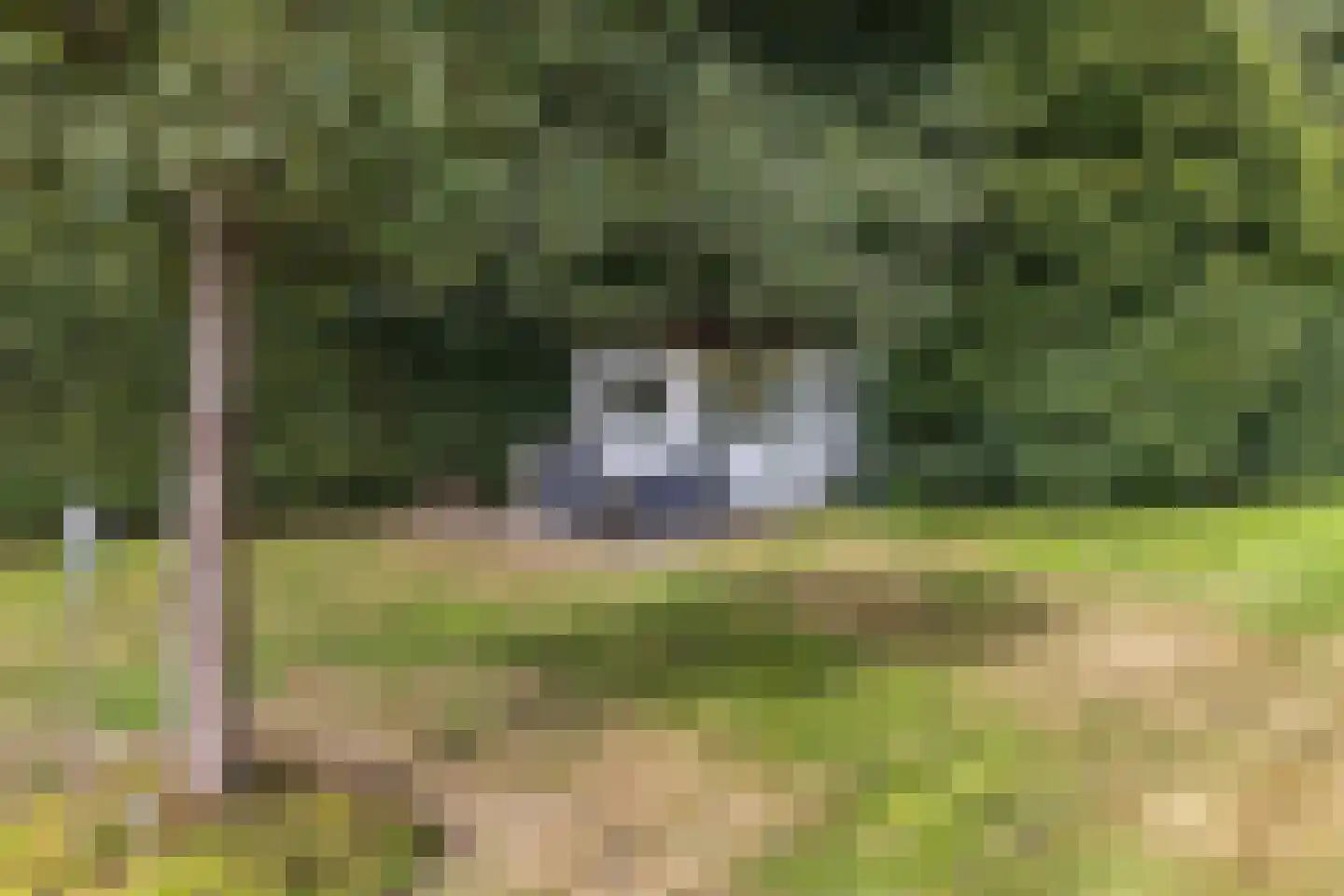 Postweg 5 Ruinen thumbnail 36