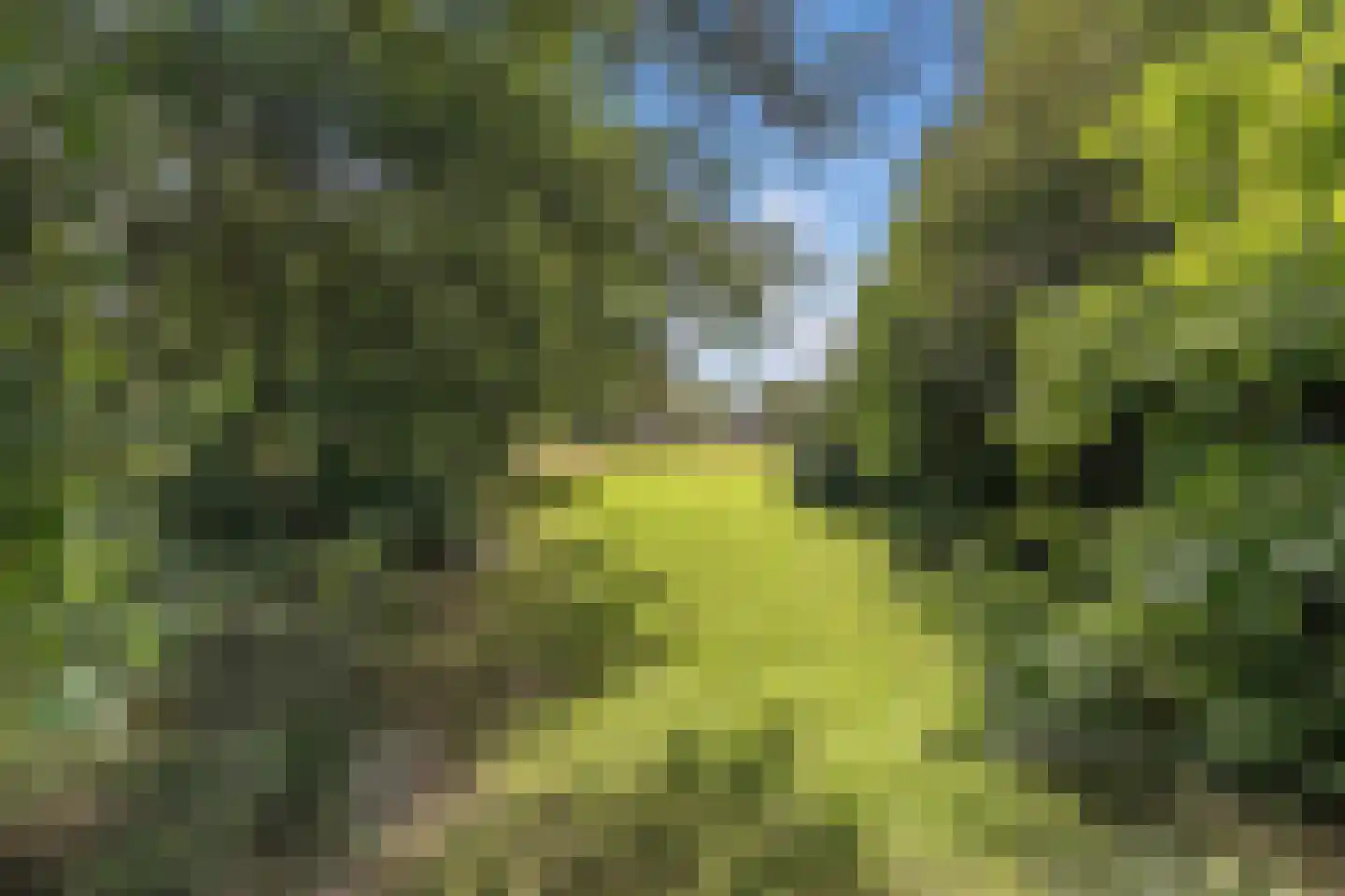 Postweg 5 Ruinen thumbnail 44