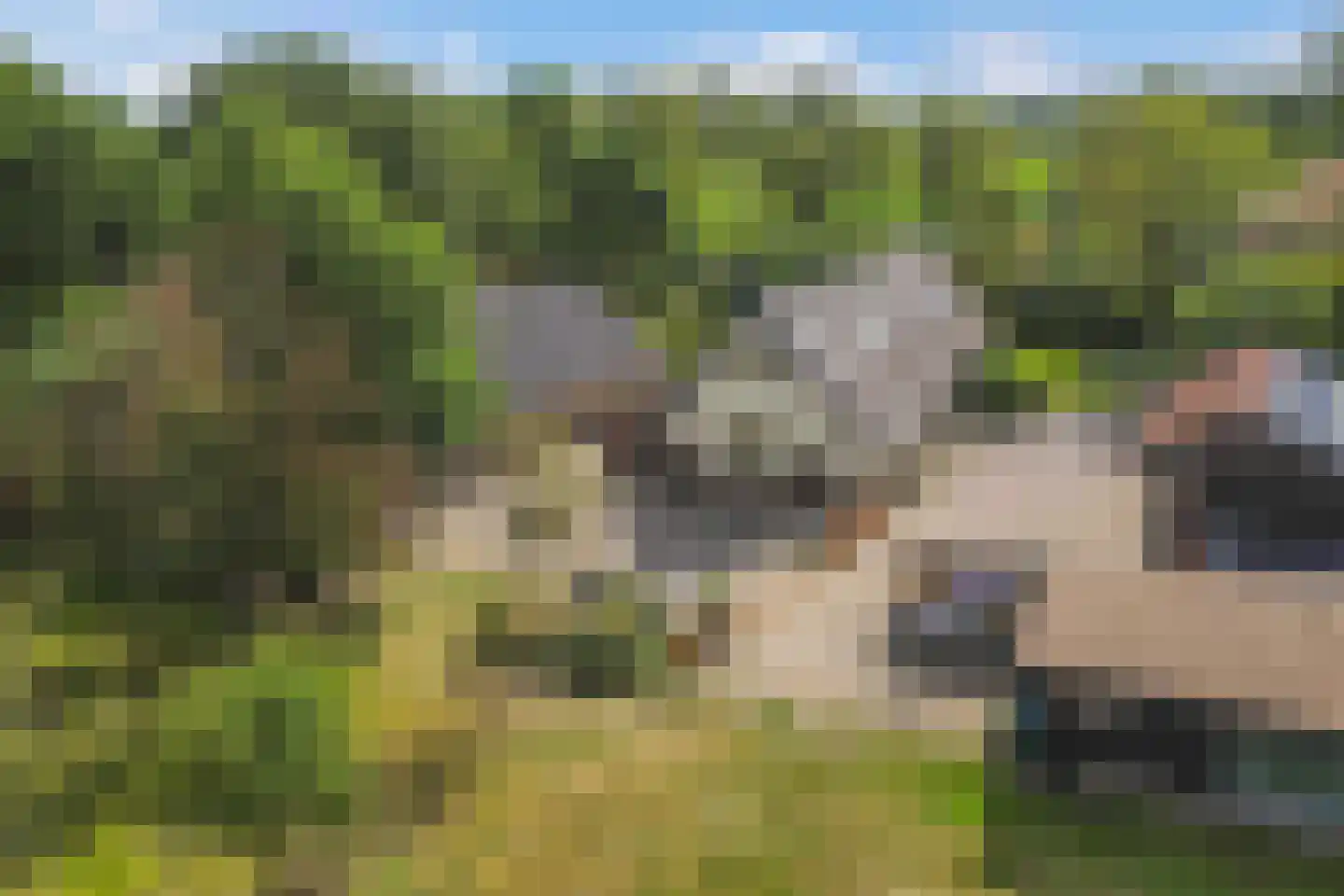 Postweg 5 Ruinen thumbnail 53