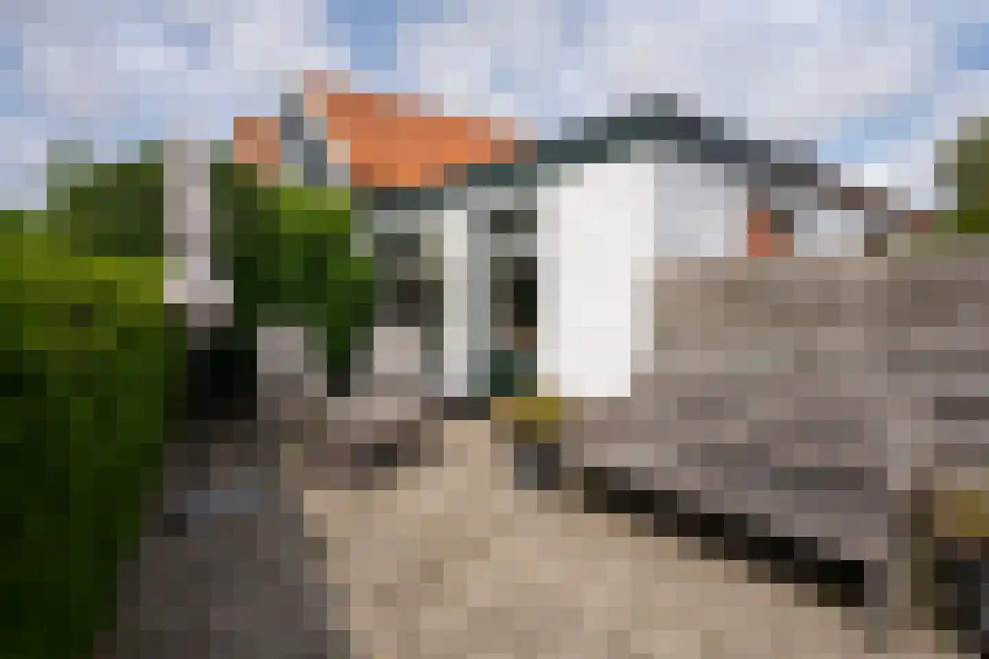 Postweg 54 De Cocksdorp thumbnail 92
