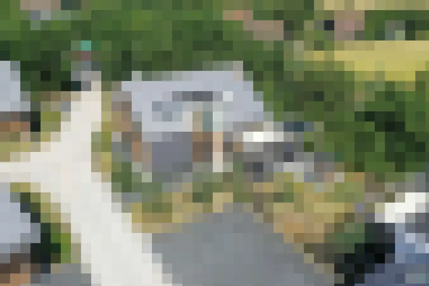 Postweg 6 200 De Cocksdorp thumbnail 6