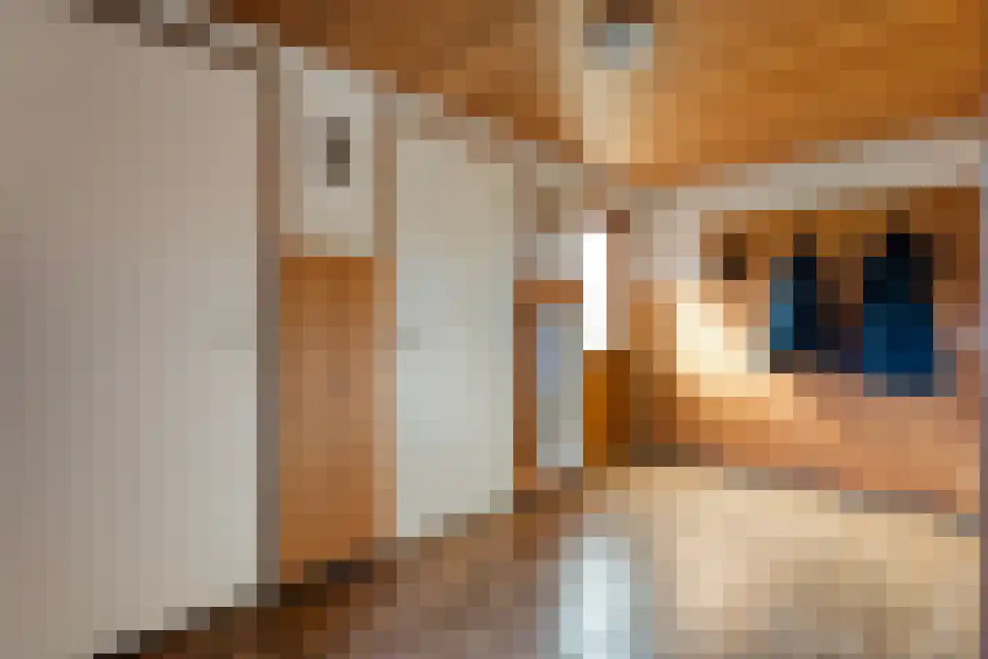 Postweg 6 de Lutte thumbnail 14