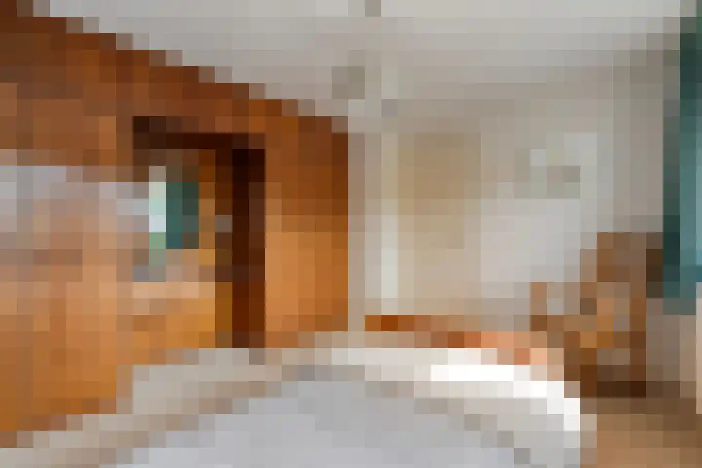 Postweg 6 de Lutte thumbnail 20