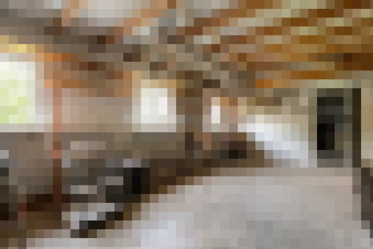 Postweg 6 de Lutte thumbnail 25