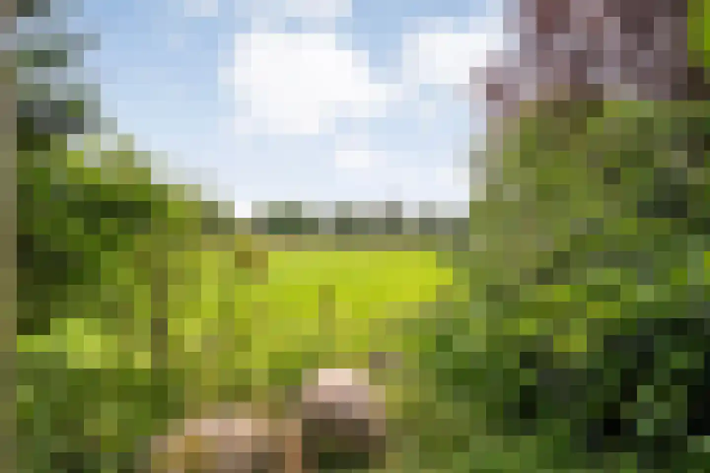 Postweg 6 de Lutte thumbnail 27