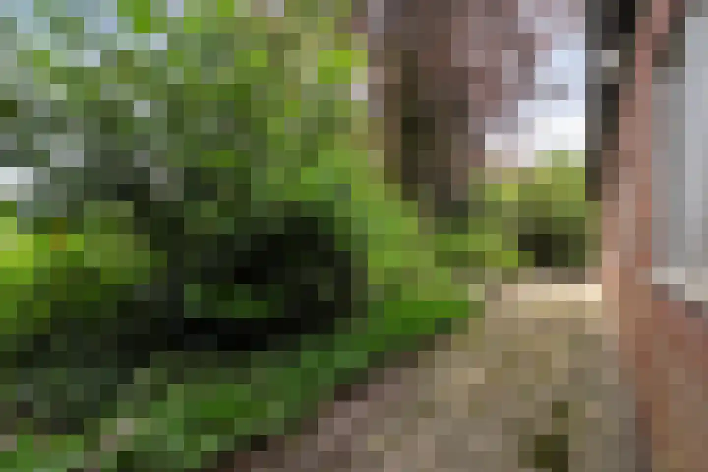 Postweg 6 de Lutte thumbnail 28
