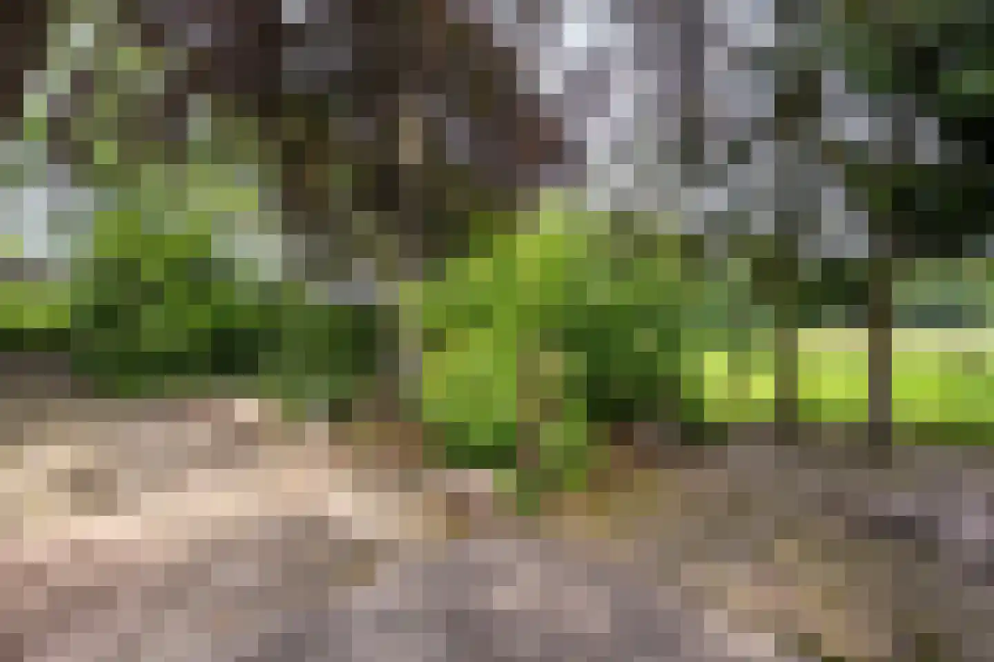 Postweg 6 de Lutte thumbnail 29