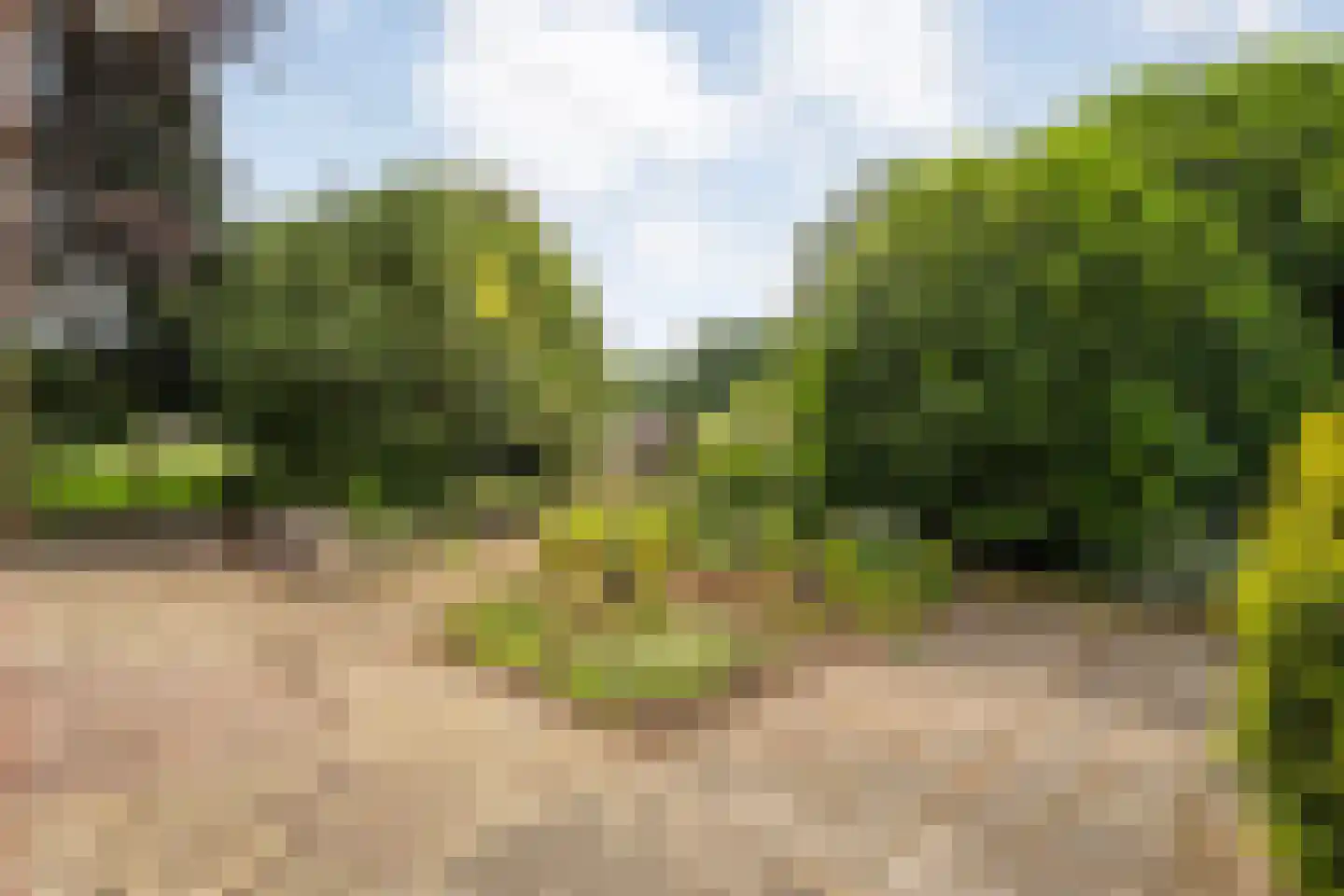 Postweg 6 de Lutte thumbnail 30